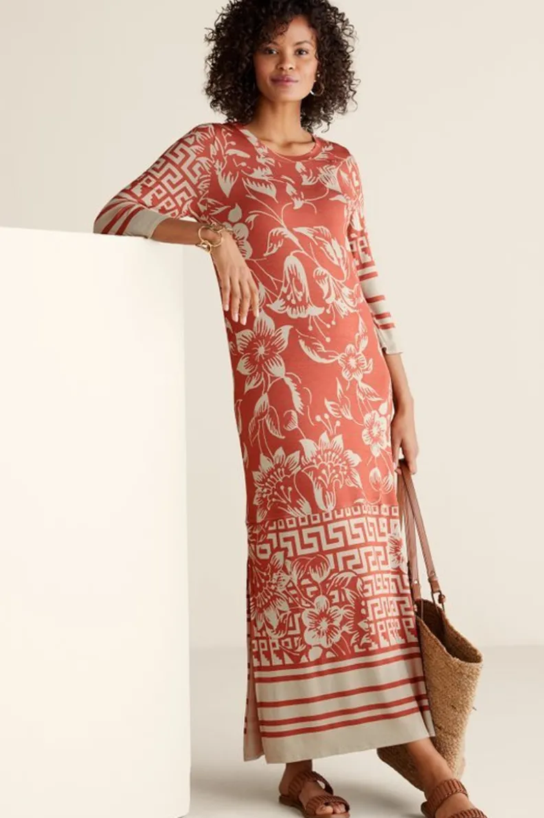 Soft Surroundings Asteria Dress| Dresses
