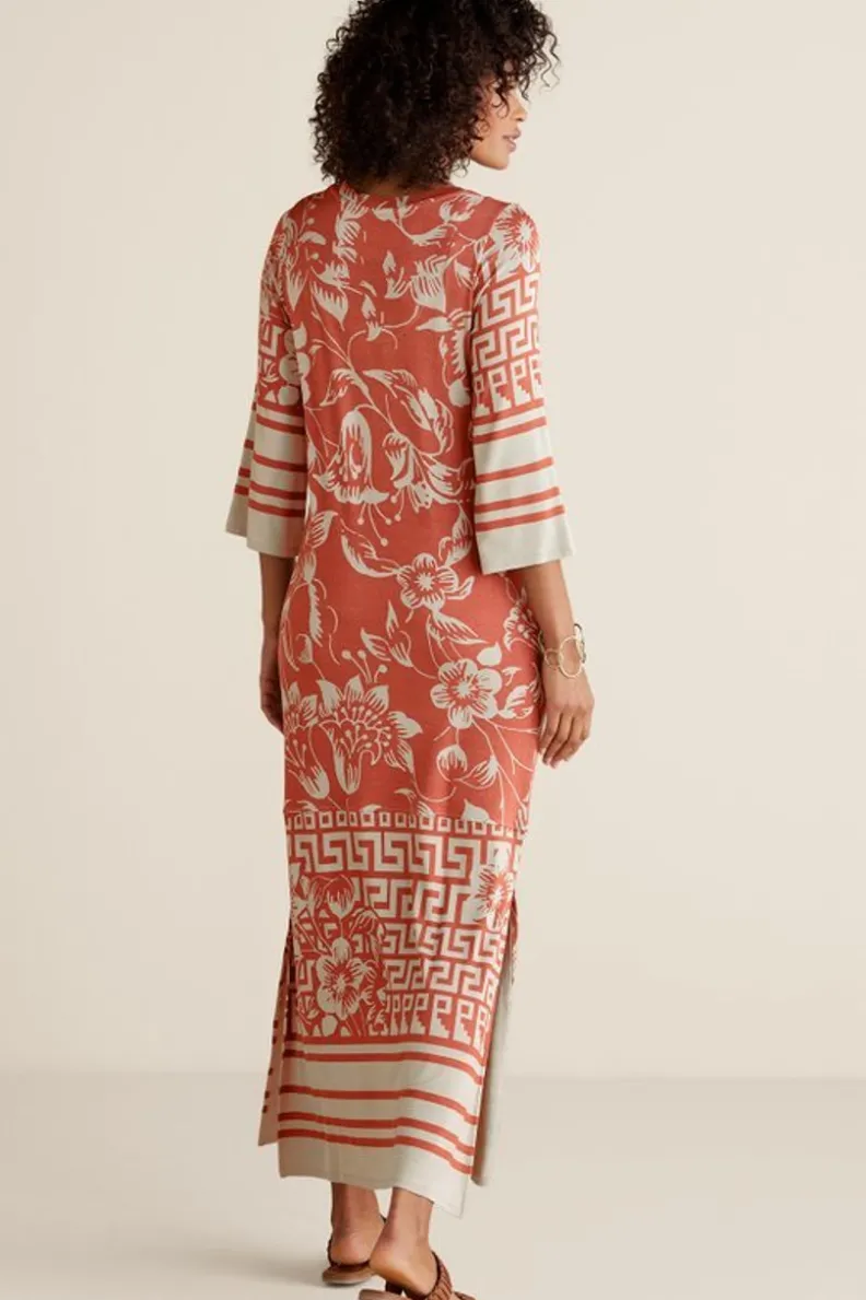 Soft Surroundings Asteria Dress| Dresses