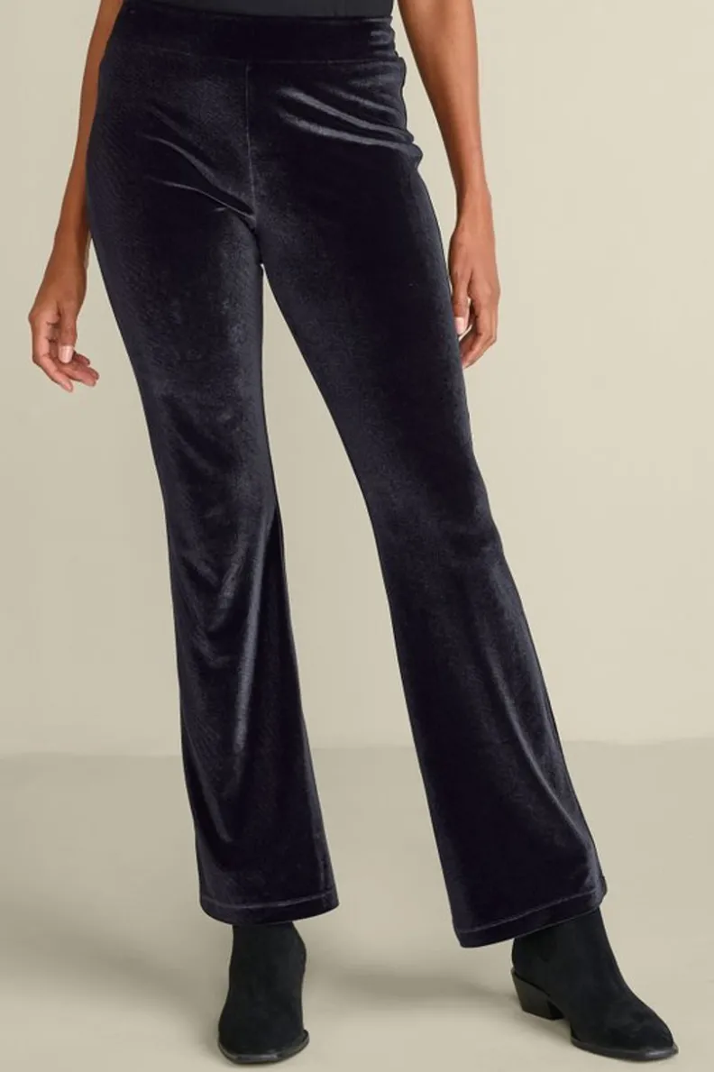 Soft Surroundings Gianna Velvet Bootcut Pants| Pants