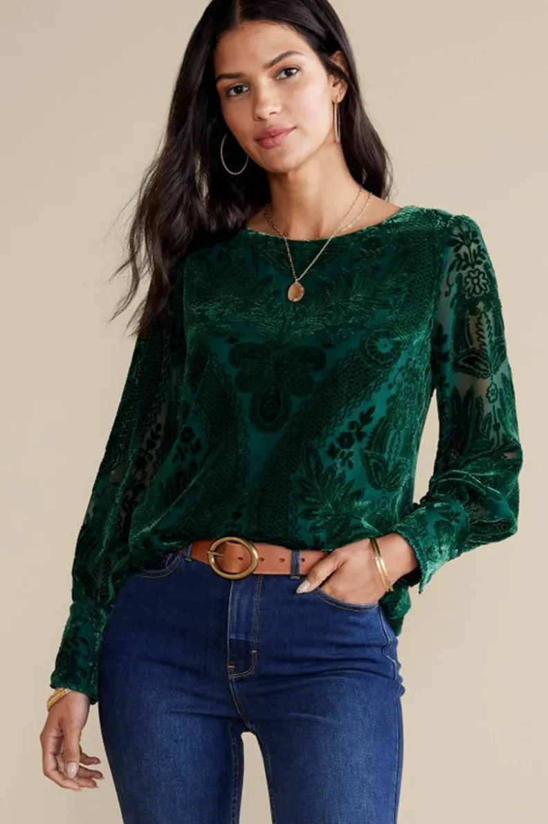Soft Surroundings Vanetta Velvet Top| Tops