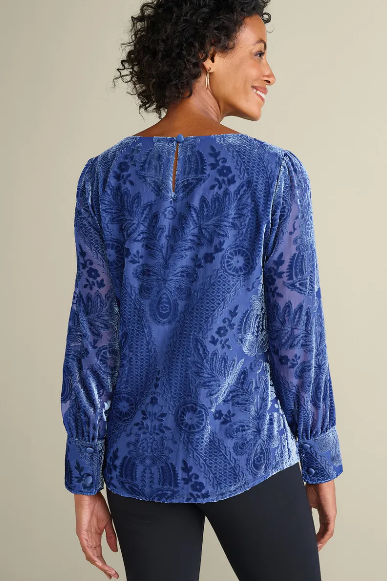 Soft Surroundings Vanetta Velvet Top| Tops
