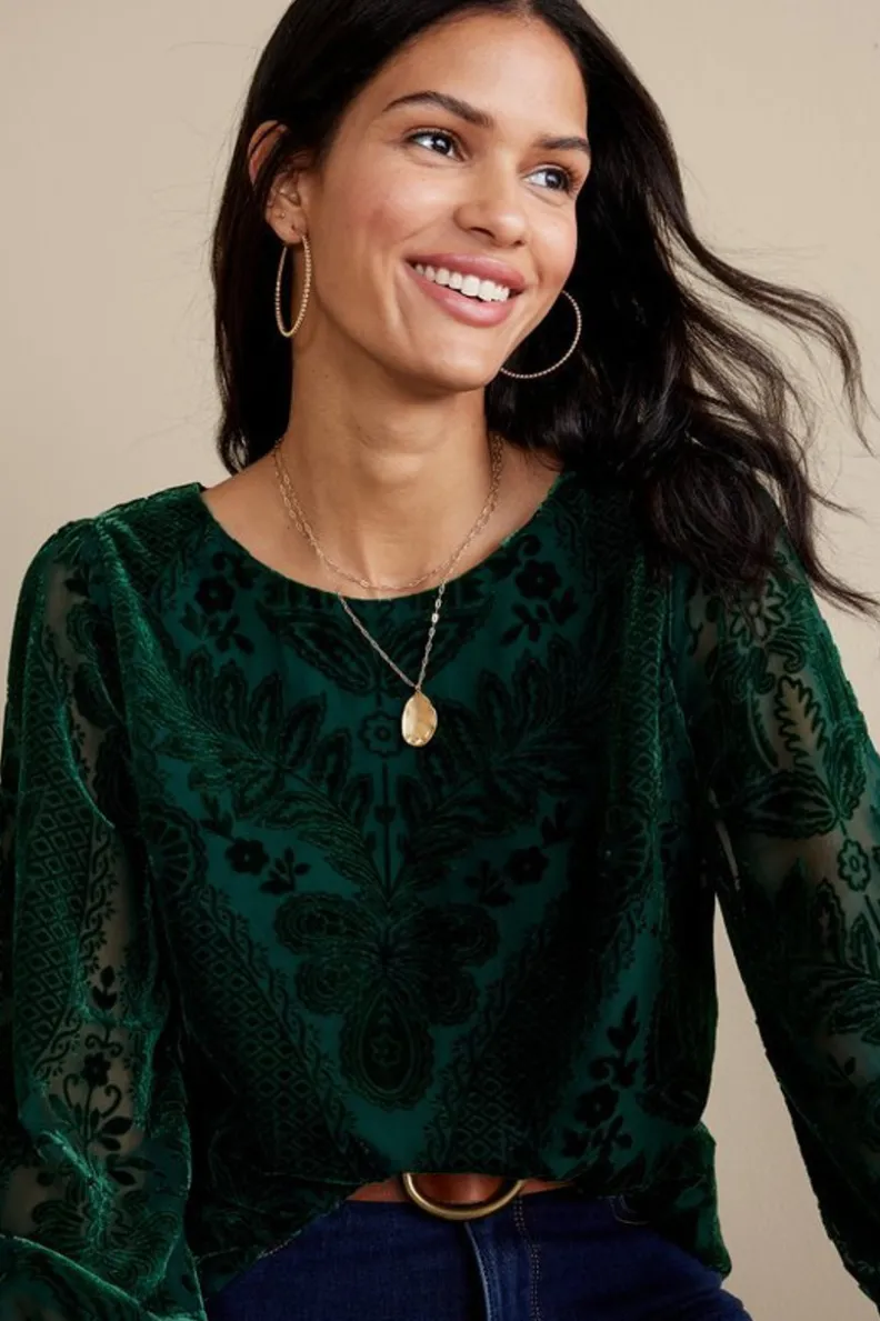 Soft Surroundings Vanetta Velvet Top| Tops