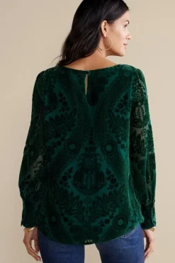 Soft Surroundings Vanetta Velvet Top| Tops